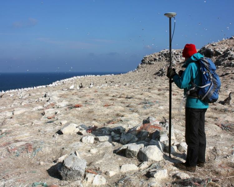 Royal Commission staff surveying on the remote Grassholm Island in 2016, which is owned and managed by the RSPB. No public landing is permitted on this highly protected nature reserve.