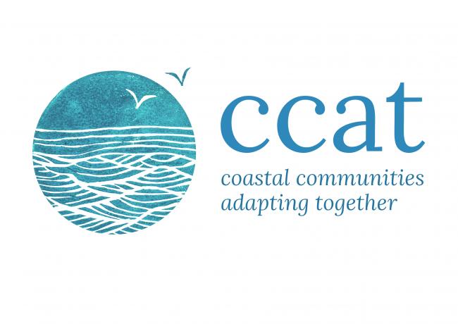 ccat logo