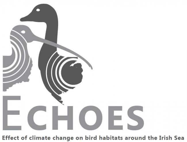 Echoes logo