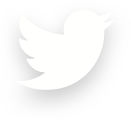 Twitter Logo